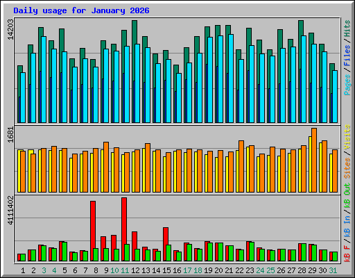 Daily usage for January 2026