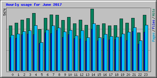 Hourly usage for June 2017