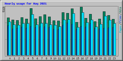Hourly usage for May 2021