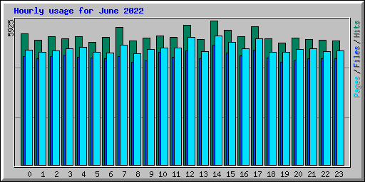 Hourly usage for June 2022