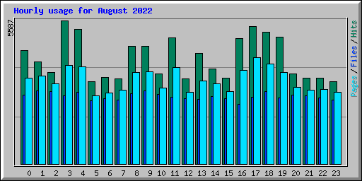 Hourly usage for August 2022