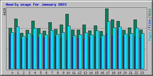 Hourly usage for January 2023