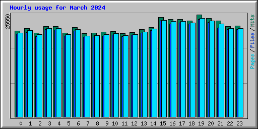 Hourly usage for March 2024