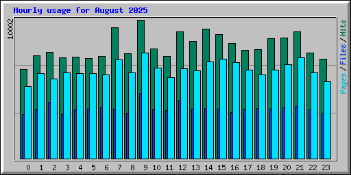 Hourly usage for August 2025