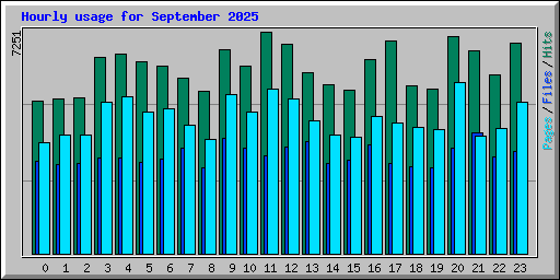 Hourly usage for September 2025