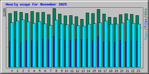 Hourly usage for November 2025