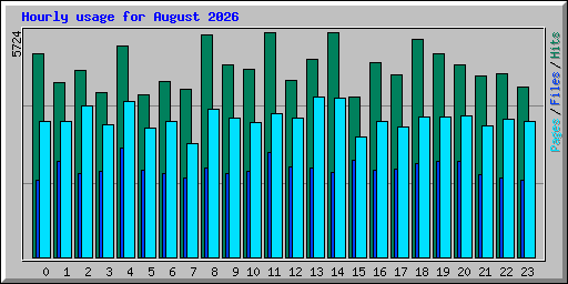 Hourly usage for August 2026