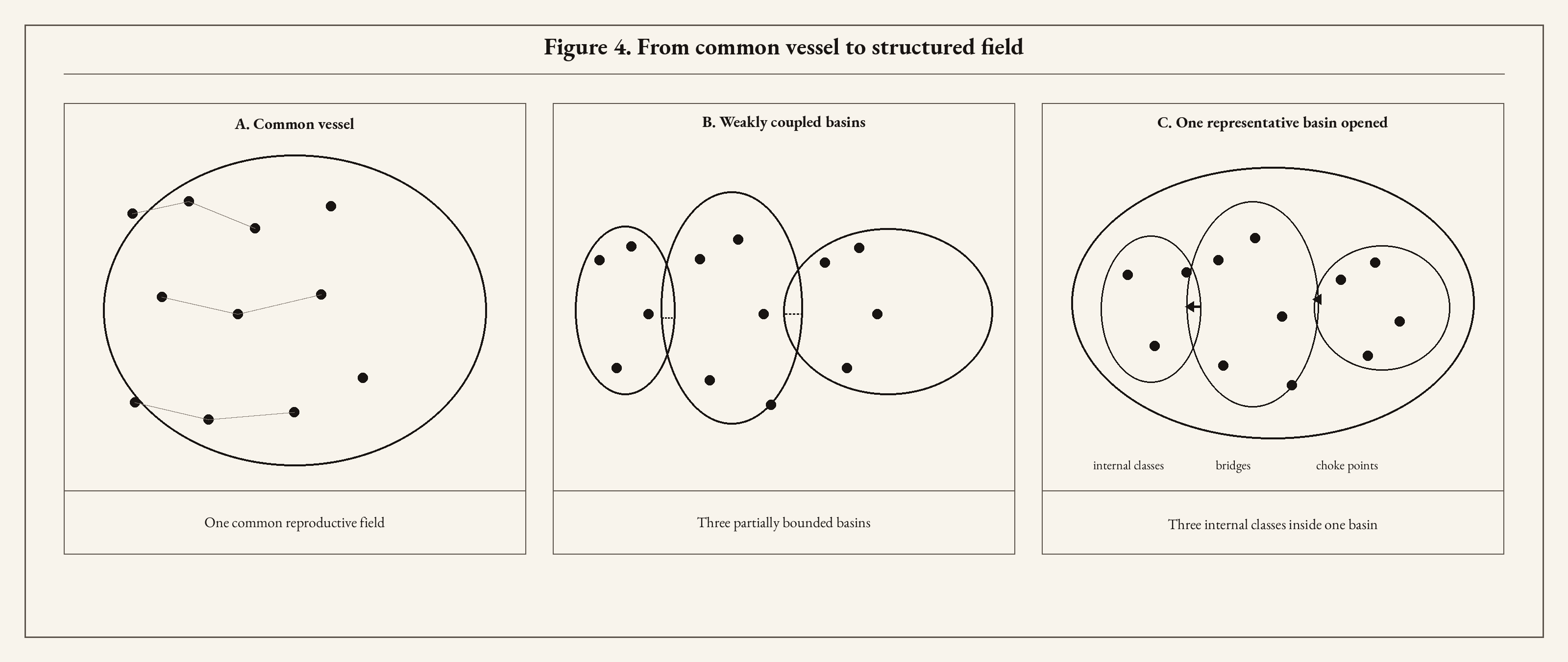 Figure 4. From common vessel to structured field. A: The early single-basin picture, with all lineages living in one common reproductive vessel. B: Three weakly coupled basins, improving the global story by allowing partial separation across reproductive fields. C: One representative basin opened to show nested admissibility: internal classes, bridges, choke points, and partial traversal, motivating the eligibility-graph family.